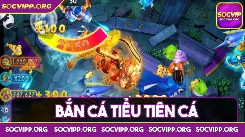 Bắn cá Tiểu tiên cá vì sao đặc biệt thu hút trước bet thủ?