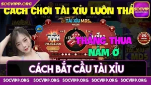 Cách bắt cầu tài xỉu cực kỳ hiệu quả chỉ dân chơi mới biết