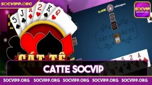 Catte socvip - Sảnh cược cực đỉnh chinh phục dân chơi