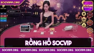 Rồng hổ Socvip và chiến thuật đặt cược hiệu quả cho tân thủ