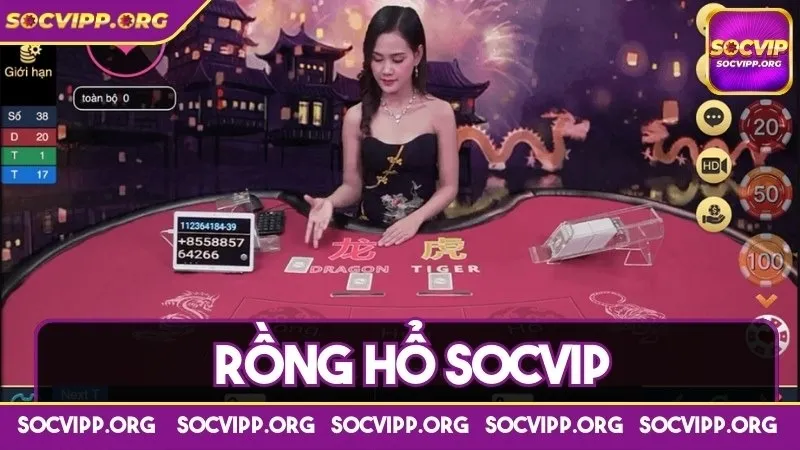 Rồng hổ Socvip và chiến thuật đặt cược hiệu quả cho tân thủ