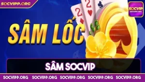 Sâm socvip là gì và tổng hợp vô vàn điều thú vị nên biết