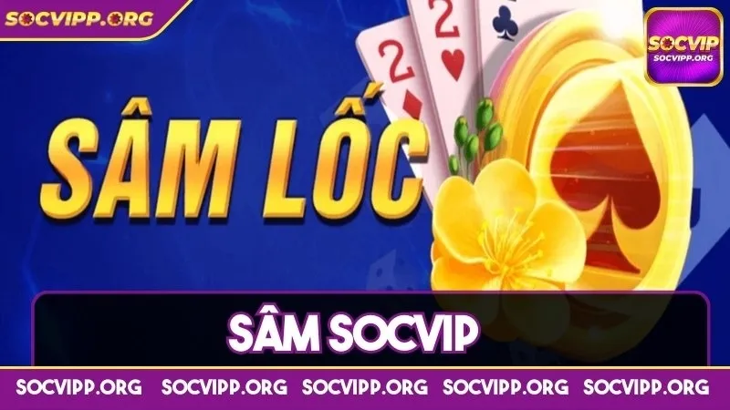 Sâm socvip là gì và tổng hợp vô vàn điều thú vị nên biết