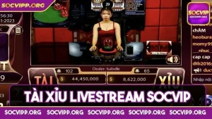Tài xỉu livestream socvip là gì và cách bắt kèo cho dân pro