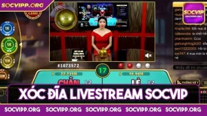Xóc đĩa livestream Socvip - Mang tới sự mới mẻ, đầy lôi cuốn